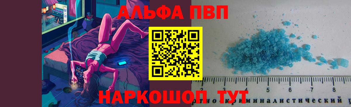 Alfa_PVP СК Верхняя Пышма