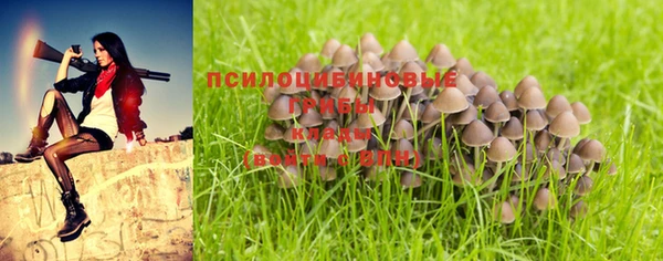 дживик Беломорск