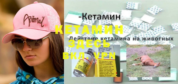 дживик Беломорск