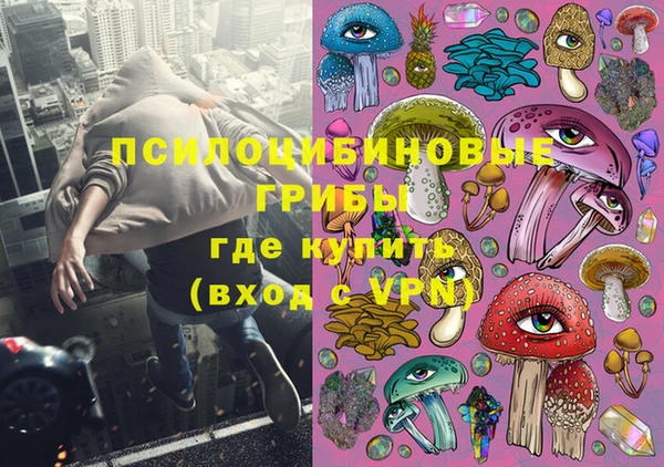 дживик Беломорск
