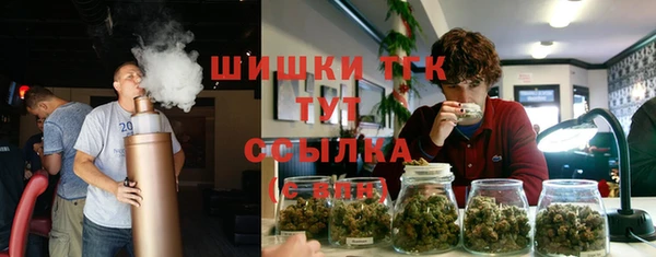 дживик Беломорск