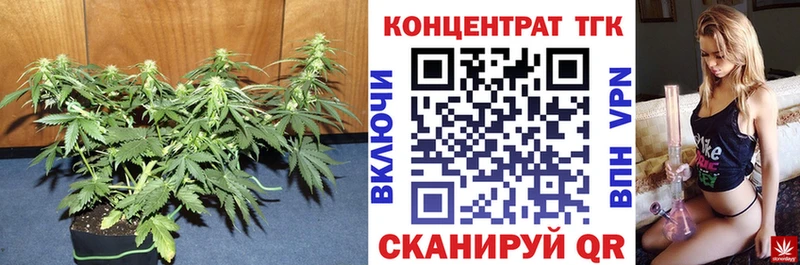 Дистиллят ТГК Wax  продажа наркотиков  Верхняя Пышма 